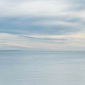 Meet your Posher, Aisha